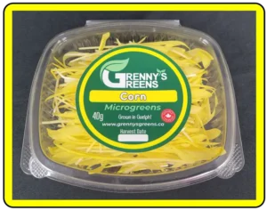 Corn Shoot Microgreens - 40g Clamshell