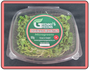 Daikon Radish Microgreens - 60g Clamshell