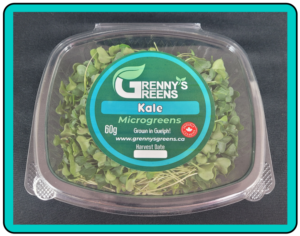 Kale Microgreens - 60g Clamshell