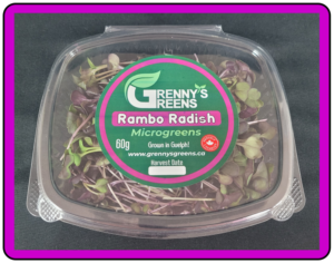 Rambo Radish Microgreens - 60g Clamshell