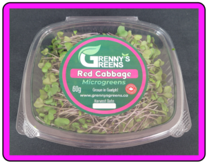Red Cabbage Microgreens - 60g Clamshell