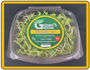 Sunflower Microgreens - 75g Clamshell