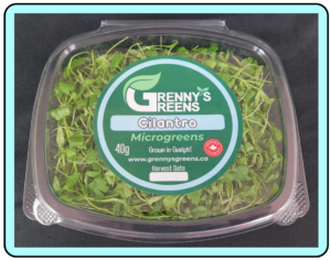 Cilantro Microgreens - 40g Clamshell